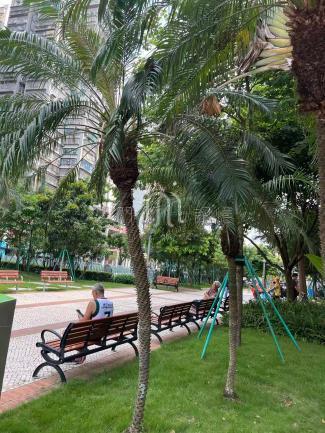 公園內綠䕃好視野廣